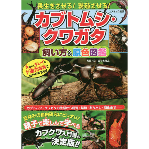 長生きさせる！繁殖させる！カブトムシ・クワガタ飼い方＆原色