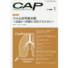 ＣＡＰ　３５５