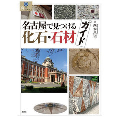 名古屋で見つける化石・石材ガイド