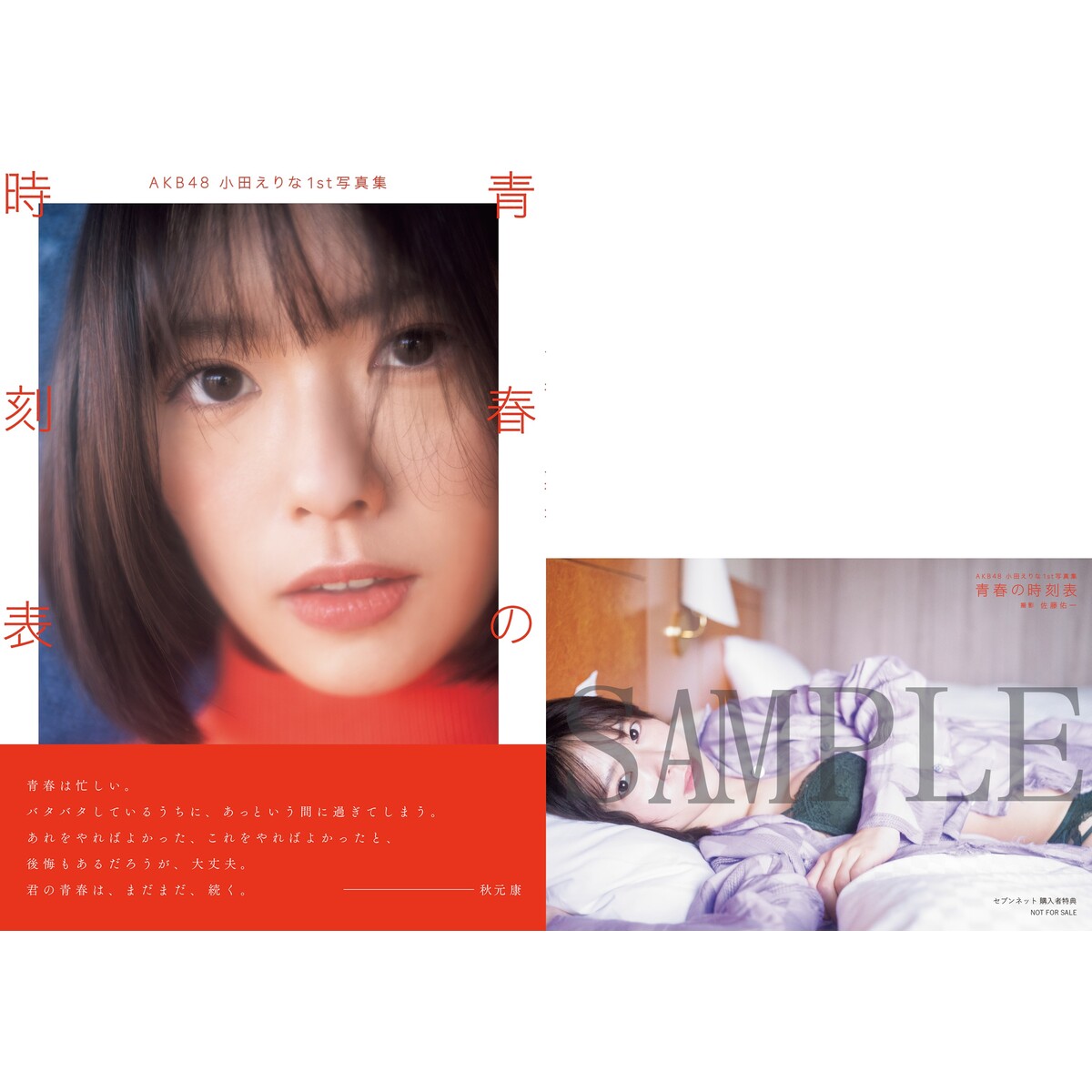 本田仁美（AKB48）1st PHOTO BOOK『明日の向こう側』【セブンネット限定特典：B5版クリアファイル１枚付き】  通販｜セブンネットショッピング