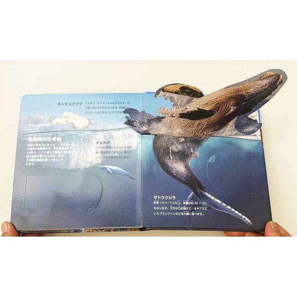 飛び出す！海のいきもの大図鑑 ペンギンフィギュア付き リアルな海の