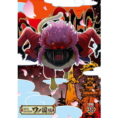 ONE PIECE ワンピース 20th SEASON ワノ国編 piece.38（ＤＶＤ）