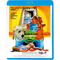 少年と犬（Ｂｌｕ－ｒａｙ）