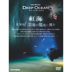 NHKスペシャル  ディープオーシャン 紅海 世界初！深海の魔境に挑む（ＤＶＤ）