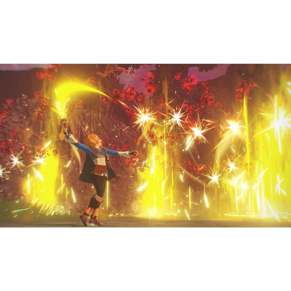 Nintendo Switch 2 ゼルダ無双 封印戦記 TREASURE BOX（セブンネット