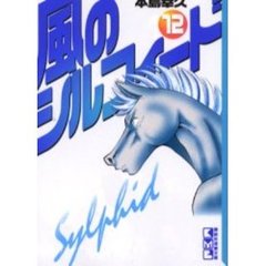 風のシルフィード　１２