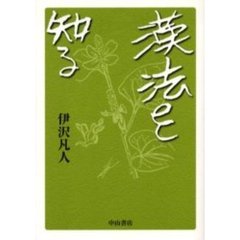 漢法を知る