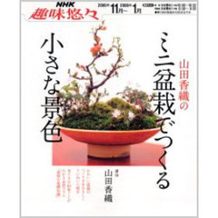 山田香織のミニ盆栽でつくる小さな景色