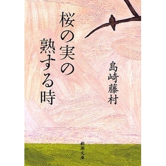 ֥ͥåȥåԥ󥰤㤨ֺμ¤νϤǡפβǤʤ539ߤˤʤޤ