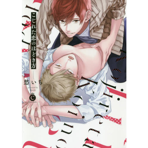 ֥ͥåȥåԥ󥰤㤨֤줿ΤۤɤפβǤʤ737ߤˤʤޤ