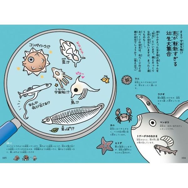 ますますざんねんないきもの事典 おもしろい 進化のふしぎ 通販 セブンネットショッピング