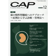 ＣＡＰ　３７８