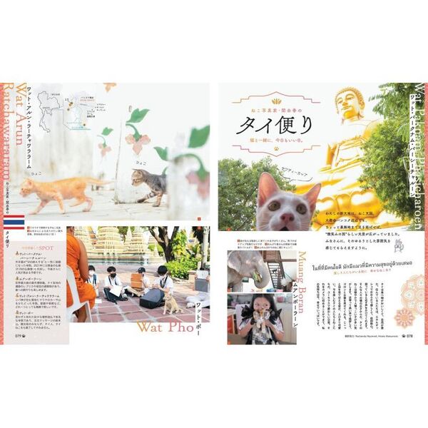 ニャン吉ページ にゃっぷる 〔3〕 特任編集長は旅猫ニャン吉！ 通販｜セブンネット