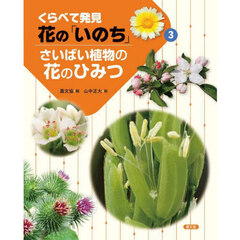 くらべて発見花の「いのち」　３　さいばい植物の花のひみつ