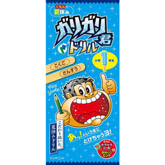 くもんの夏休みガリガリ君ドリル小学１年生　こくご・さんすう