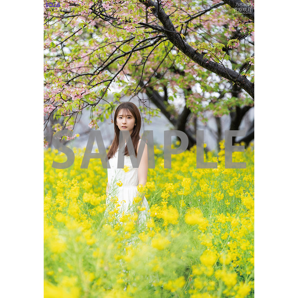 BOMB 2026年5月号【セブンネット限定特典：菅原咲月（乃木坂46）ポスト