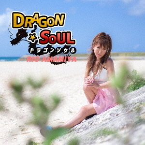 ֥ͥåȥåԥ󥰤㤨DRAGONSOULפβǤʤ1,324ߤˤʤޤ