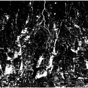 ֥ͥåȥåԥ󥰤㤨֥ԥ奢롦᥿եפβǤʤ2,750ߤˤʤޤ