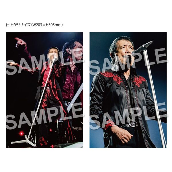 ☆新品未開封☆矢沢永吉 I believe 初回限定盤 ＜TYPE-A＞ BD版 Amazon.co.jp: 「I believe」(初回限定盤TYPE-A)(DVD付