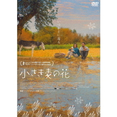 小さき麦の花（ＤＶＤ）