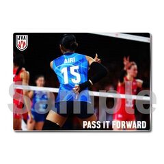 【バレーボール女子日本代表】メタルディスプレイ  セルビア戦 08