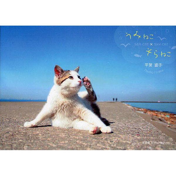 セブンネットショッピングで買える「うみねこ×そらねこ」の画像です。価格は1,320円になります。