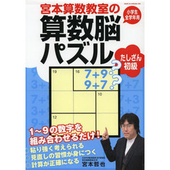 宮本算数教室の算数脳パズルたしざん初級　小学生全学年用