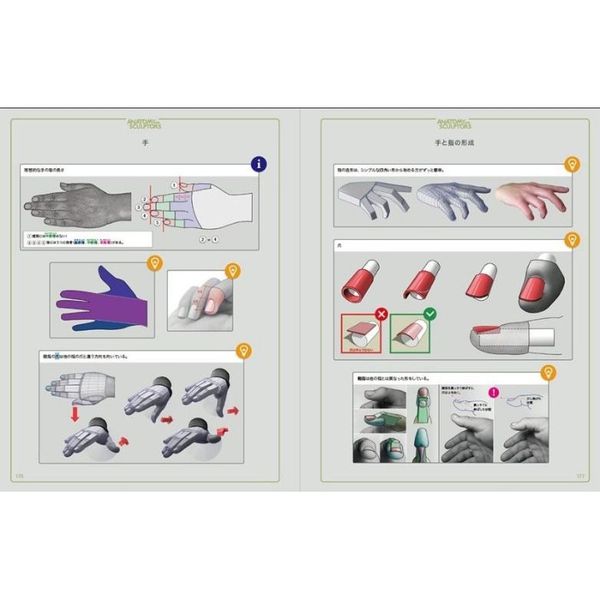 スカルプターのための美術解剖学 通販｜セブンネットショッピング