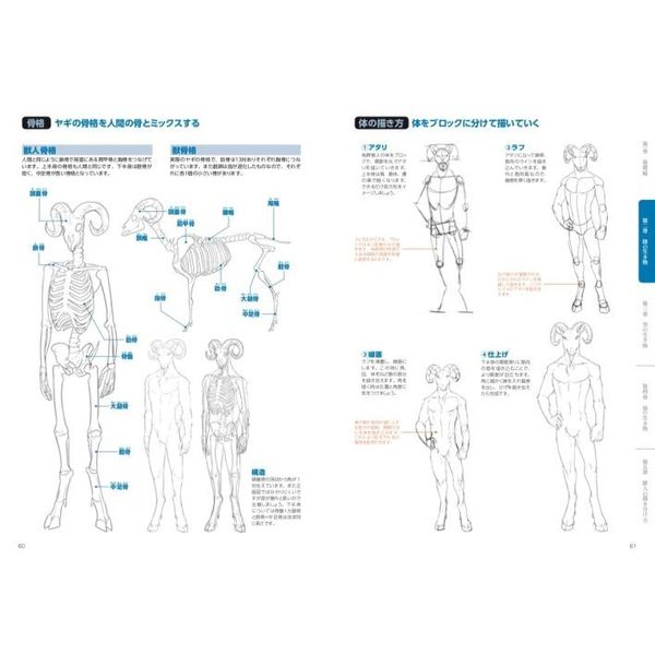 獣人 ケモノ の描き方 リアルケモからデフォルメケモまで 骨格から学べる獣人の基礎 世界観が広がるキャラメイク必携テクニック 通販 セブンネットショッピング