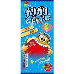 くもんの夏休みガリガリ君ドリル小学２年生　国語・算数