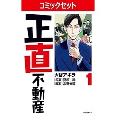 正直不動産　１～２２巻セット