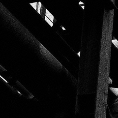 machinic　phylum