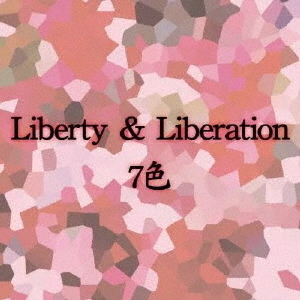 ֥ͥåȥåԥ󥰤㤨LibertyLiberationפβǤʤ3,300ߤˤʤޤ