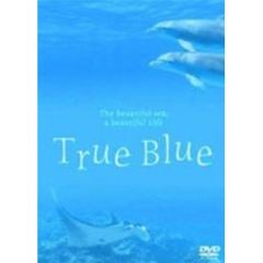True　Blue　Beautiful　sea，Beautiful　sound（ＤＶＤ）