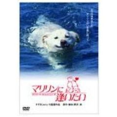 マリリンに逢いたい（ＤＶＤ）