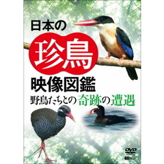 日本の珍鳥 映像図鑑 野鳥たちとの奇跡の遭遇（ＤＶＤ）