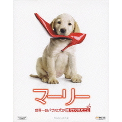 マーリー　世界一おバカな犬が教えてくれたこと（Ｂｌｕ－ｒａｙ　Ｄｉｓｃ）