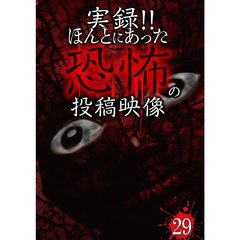 実録！！ほんとにあった恐怖の投稿映像　29（ＤＶＤ）