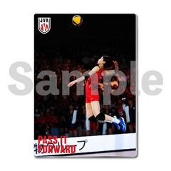 【バレーボール女子日本代表】メタルディスプレイ  韓国戦 01