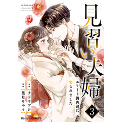 見習い夫婦～エリート御曹司に娶られました～3巻