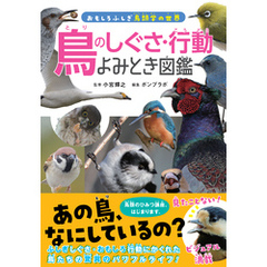 鳥のしぐさ・行動よみとき図鑑