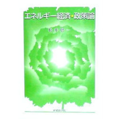 エネルギー経済・政策論