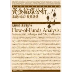 資金循環分析　基礎技法と政策評価