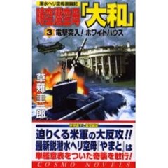 時空潜空母「大和」　３　電撃突入！ホワイトハウス