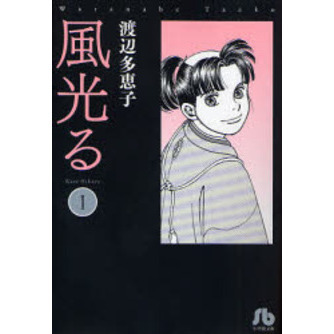 全巻セット】風光る 23巻セット 渡辺多恵子 小学館/文庫/美品/漫画