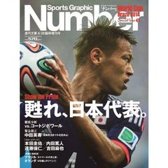 Sports Graphic Number (スポーツ・グラフィック ナンバー)日本ＶＳコートジボワール速報　(セブン＆アイ限定特典付き）