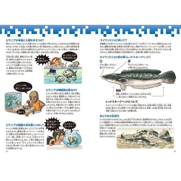 2022年最新 雷魚マップポイント 新潟県