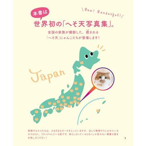 へそ天にゃんこ 見るだけで幸せににゃる 通販｜セブンネットショッピング
