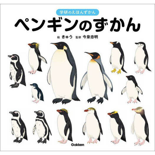 ペンギンのずかん 通販｜セブンネットショッピング