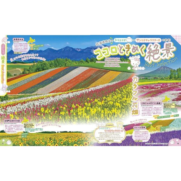 るるぶ北海道'26 通販｜セブンネットショッピング